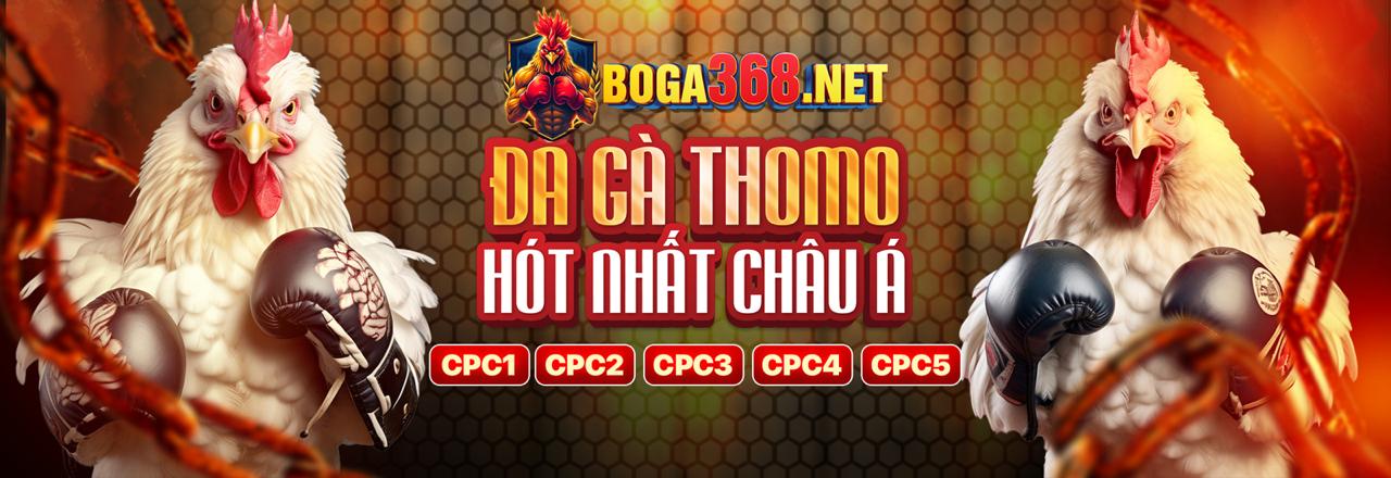 Hình ảnh hoàn trả cược đá gà không giới hạn tại bet 168