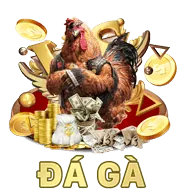 Logo DS