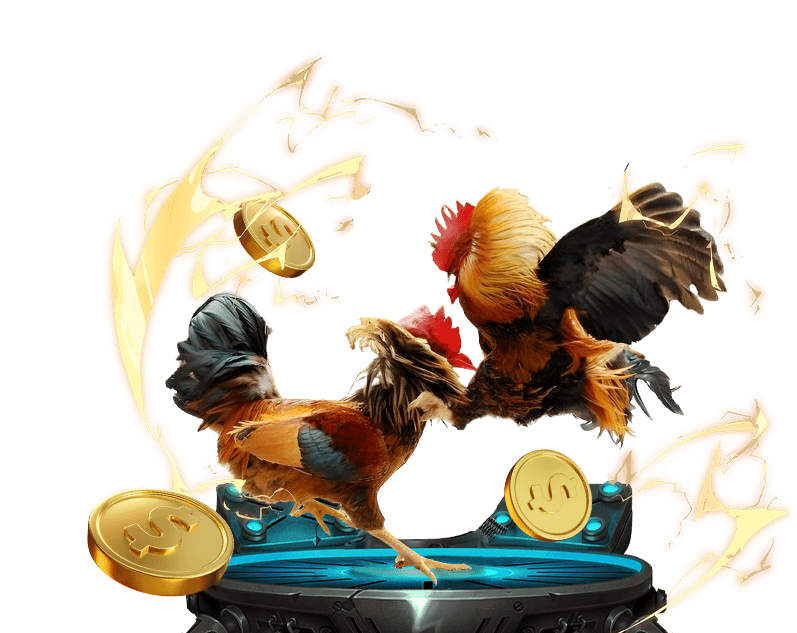 Hình ảnh đá gà trực tuyến bet 168 với các chiến kê đang thi đấu.