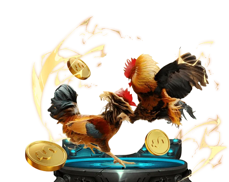 Hình ảnh đá gà trực tuyến bet 168 với các chiến kê đang thi đấu.